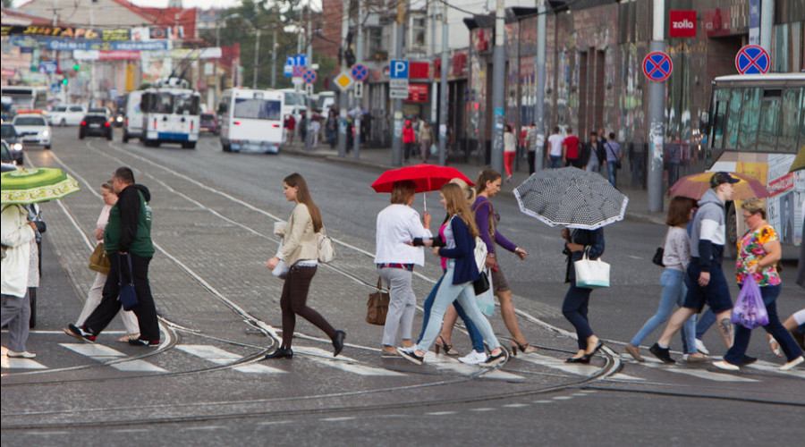 Внутренний туризм пошёл в рост: калининградцы стали активнее путешествовать по области