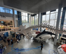 Музей Мирового океана