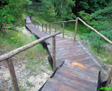 Высота Мюллера (Куршская коса)