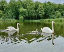 Озеро Чайка