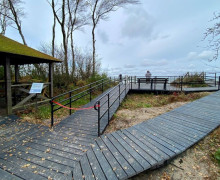 Королевский бор