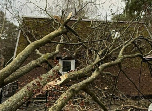 В Светлогорске дерево рухнуло на дом врача: семья мёрзнет под дырявой крышей
