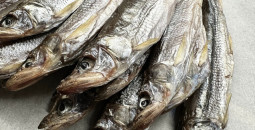 СВЕЖЕЕ ПОСТУПЛЕНИЕ: