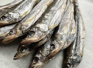 СВЕЖЕЕ ПОСТУПЛЕНИЕ: