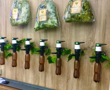 Морская звезда, магазин рыбы и разливного пива