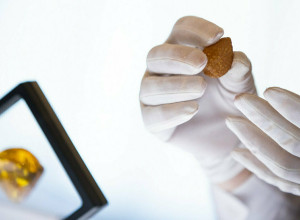 Сенатор Артамонов: Калининградская область должна стать «янтарём» России — примером для соседних стран