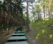 Королевский бор