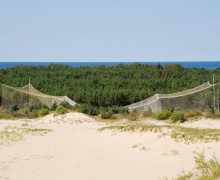 Орнитологическая станция Росситтен (Фрингилла)