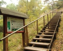 Высота Мюллера (Куршская коса)