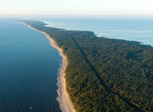 Куршская коса