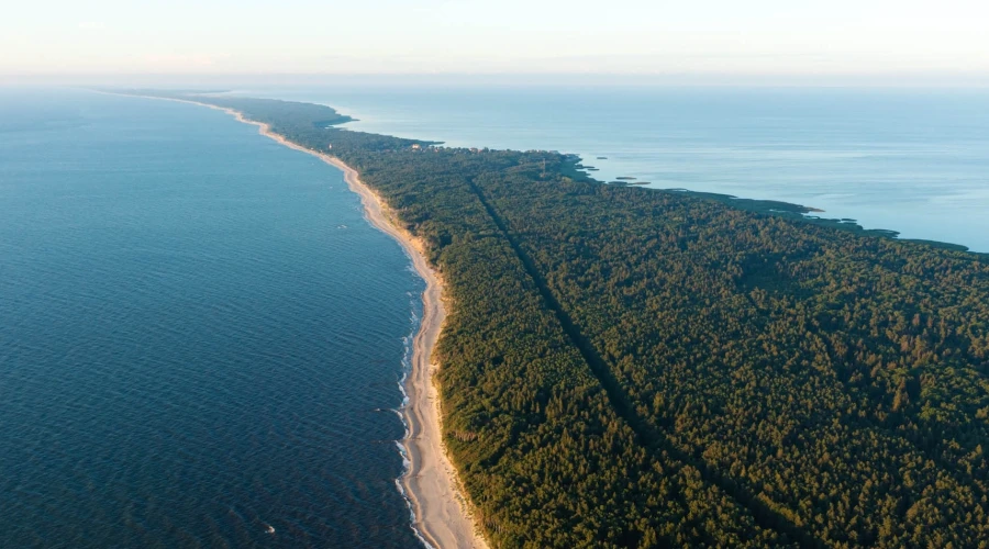 Куршская коса