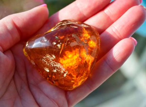 10 жителей Калининградской области пойдут под суд за незаконную добычу янтаря на 9,1 млн рублей