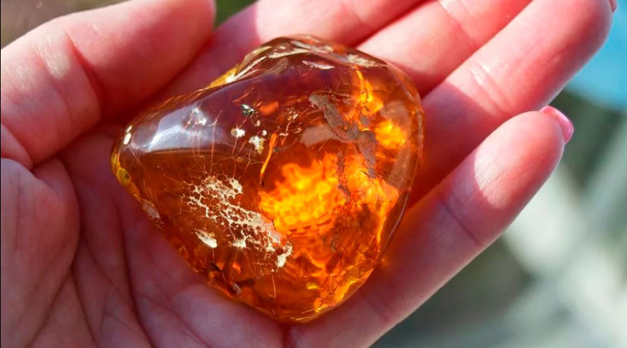 10 жителей Калининградской области пойдут под суд за незаконную добычу янтаря на 9,1 млн рублей