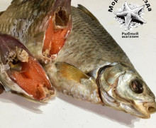 Морская звезда, магазин рыбы и разливного пива