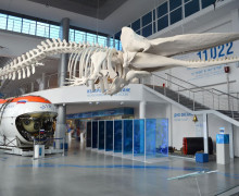 Музей Мирового океана