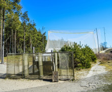 Орнитологическая станция Росситтен (Фрингилла)