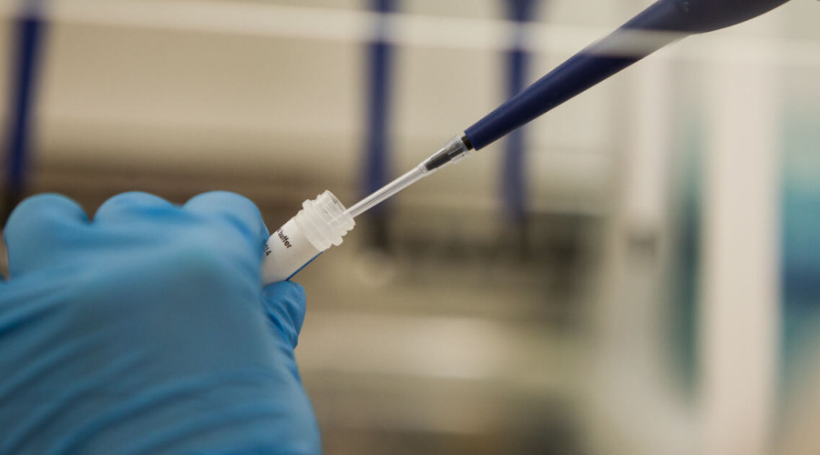 Малышева назвала анализ, связанный с продолжительностью жизни