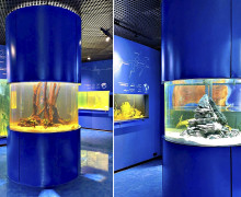 Музей Мирового океана