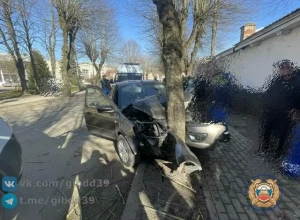 В Правдинске легковушка врезалась в дерево: погиб водитель, трое пассажиров в больнице.