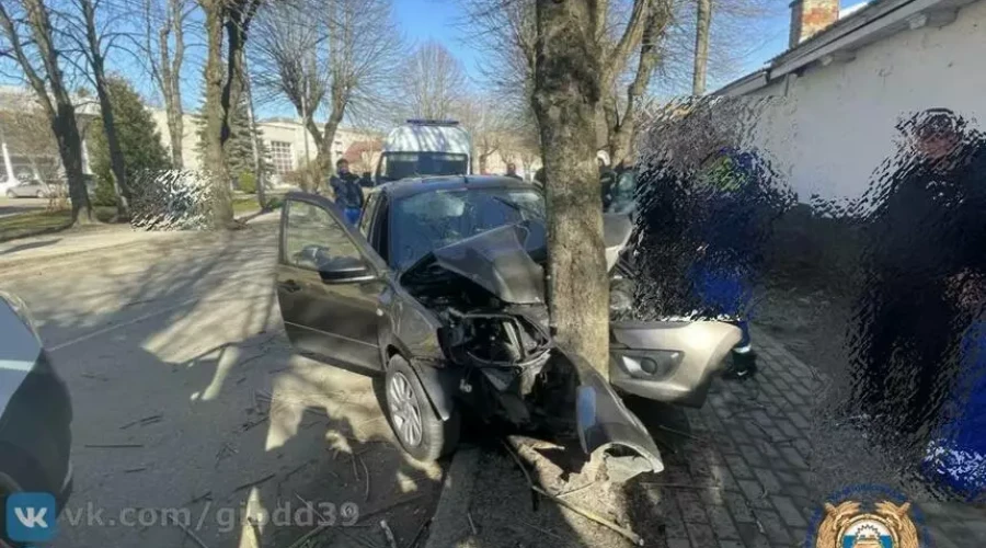 В Правдинске легковушка врезалась в дерево: погиб водитель, трое пассажиров в больнице.