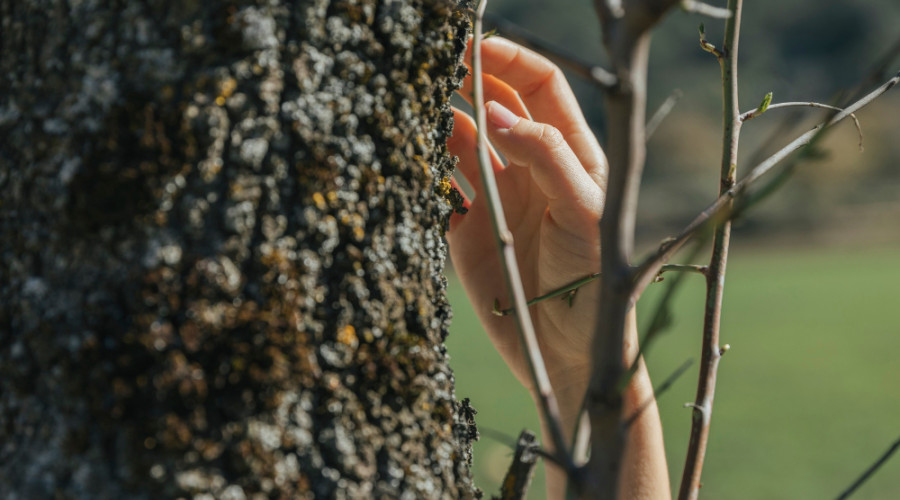 Калининградский агроном предупредила о дачных ошибках: почему ранней весной нельзя обрезать деревья и сыпать удобрения