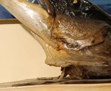 Виштынецкий эколого‑исторический музей