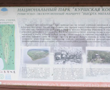 Высота Мюллера (Куршская коса)