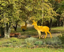 Виштынецкий эколого‑исторический музей